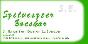 szilveszter bocskor business card